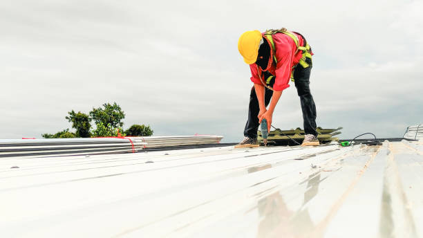 Best Storm Damage Roof Repair  in Beacon Square, FL