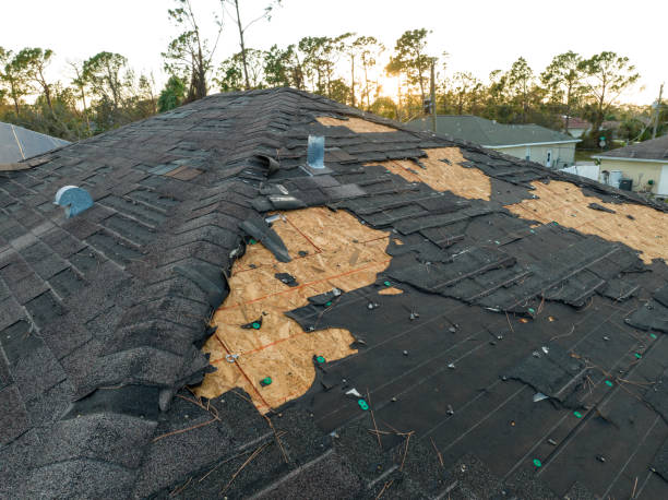 Best Skylight Installation and Repair  in Beacon Square, FL